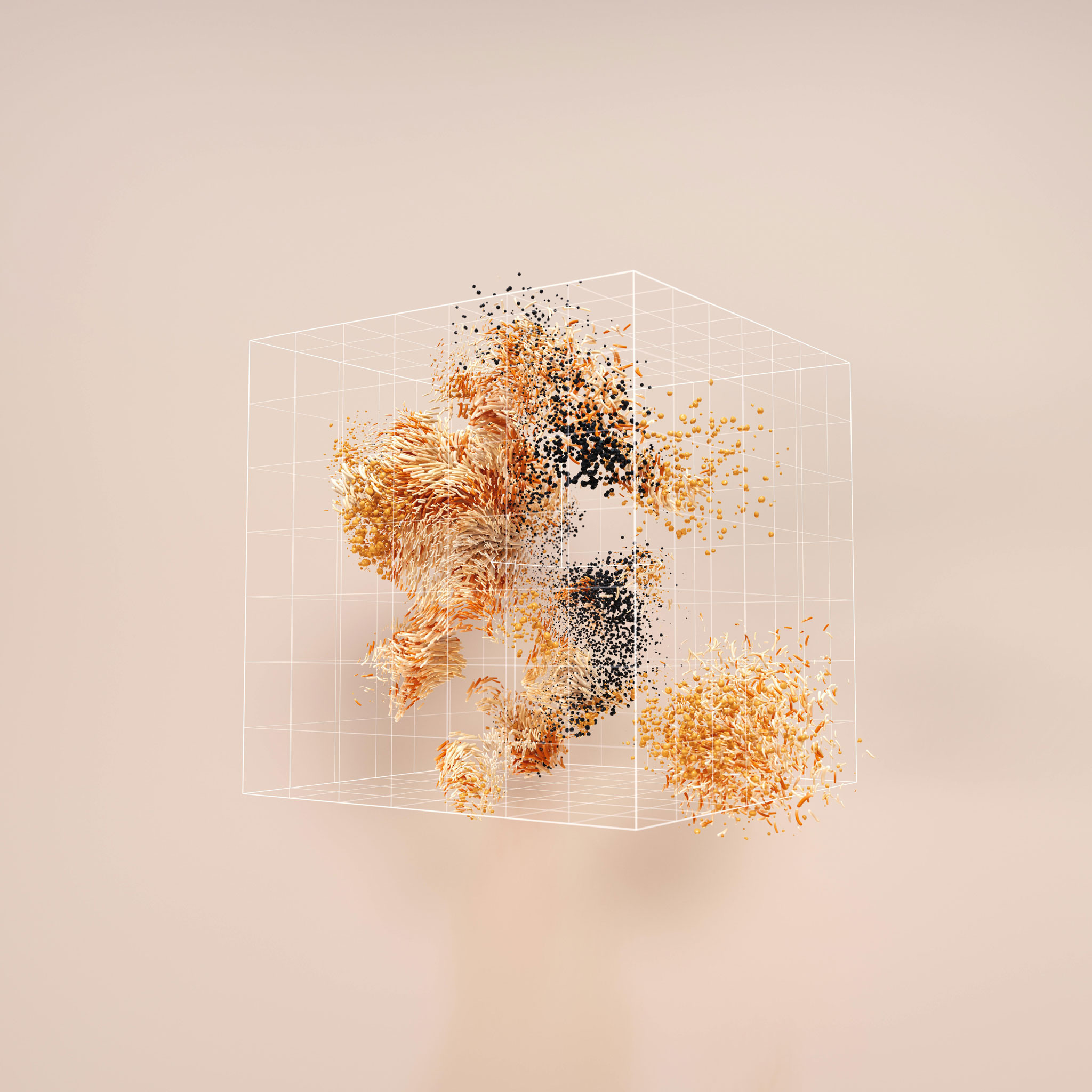 3d_image1